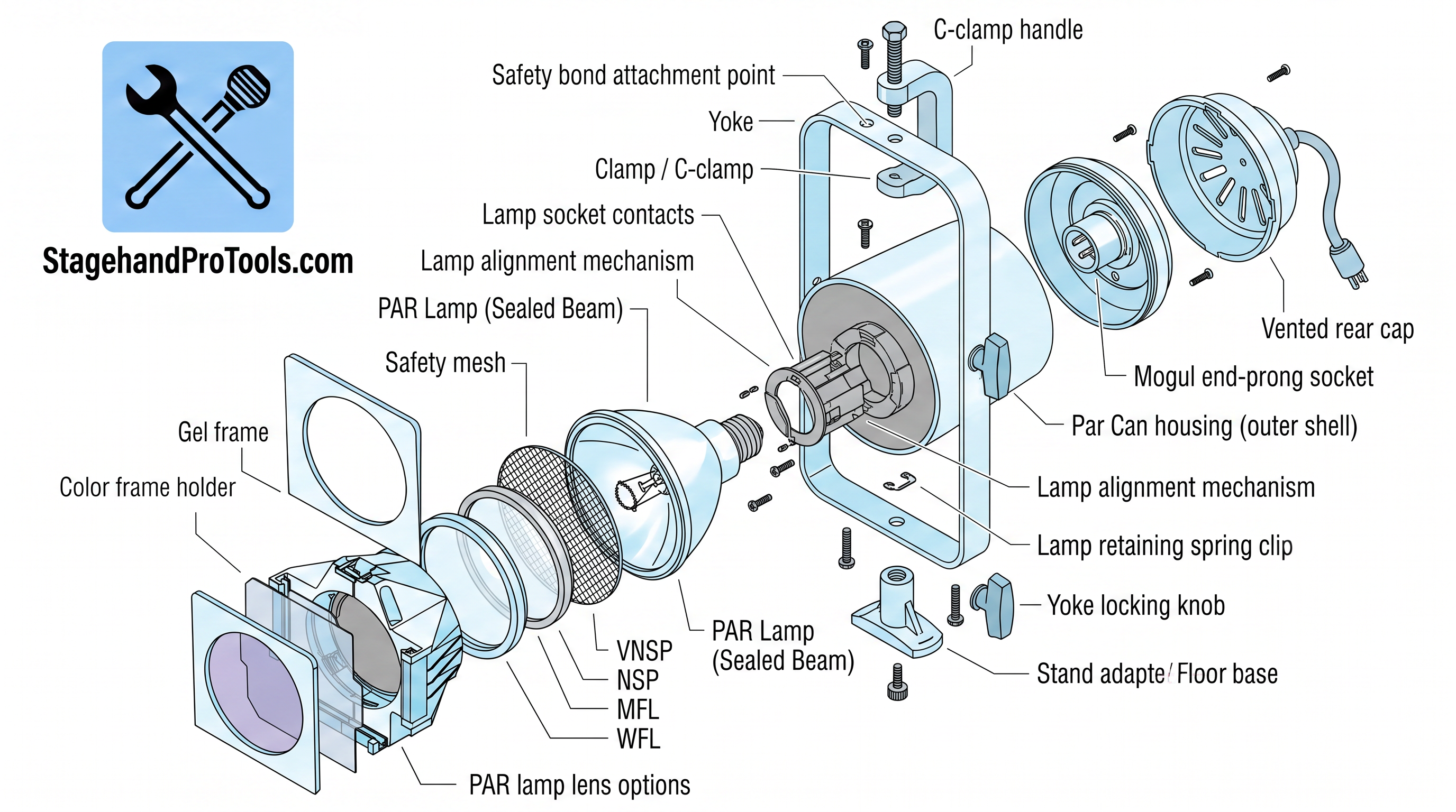 Par Can Anatomy Infographic